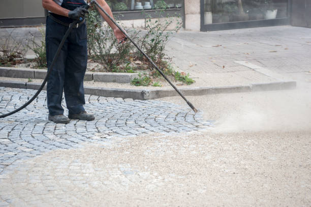 Animal Enclosure Cleaning in Shepherd, TX