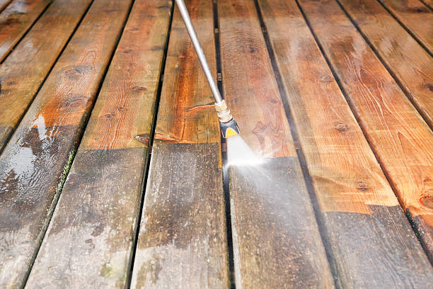 Best Driveway Pressure Washing  in Shepherd, TX